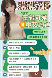 台南定點茶-摸摸