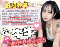 新竹定點茶-牛牛