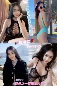 新北定點茶-玫瑰紅