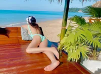 新北定點茶-玫瑰紅