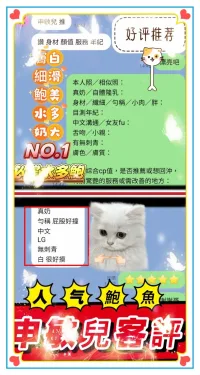 高雄定點茶-申敏兒