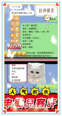 高雄定點茶-申敏兒