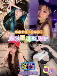 台北定點茶-貓貓