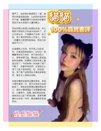 台北定點茶-貓貓