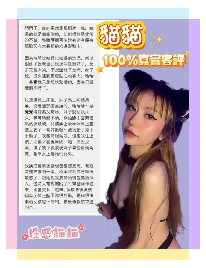 台北定點茶-貓貓