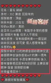 南投定點茶-綺綺