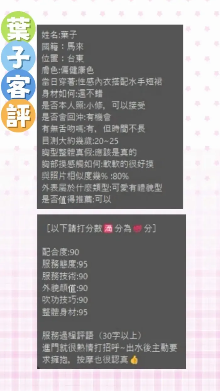 雲林定點茶-葉子