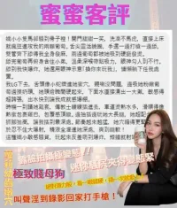 桃園定點茶-蜜蜜