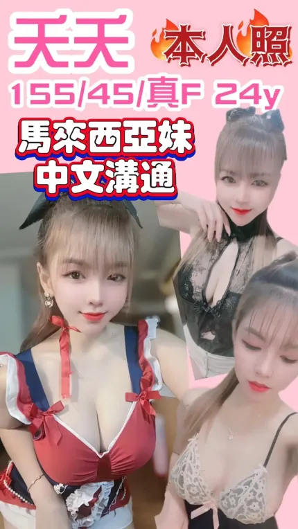 新竹定點茶-夭夭