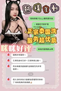 台南定點茶-咪咪