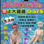 台中定點茶-小金漁