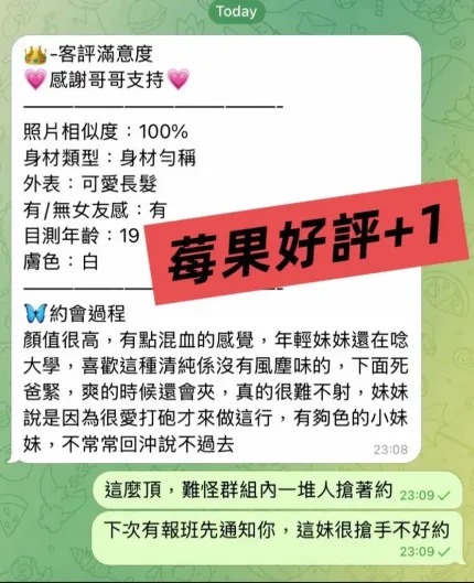 高雄定點茶-莓果