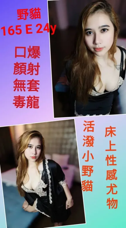 新北定點茶-野貓