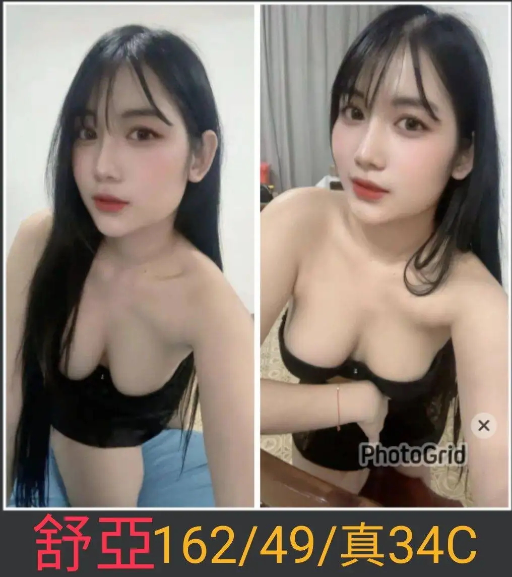 南投定點茶-舒亞 南投定點茶-舒亞