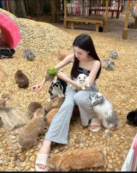 桃園定點茶-甜蜜