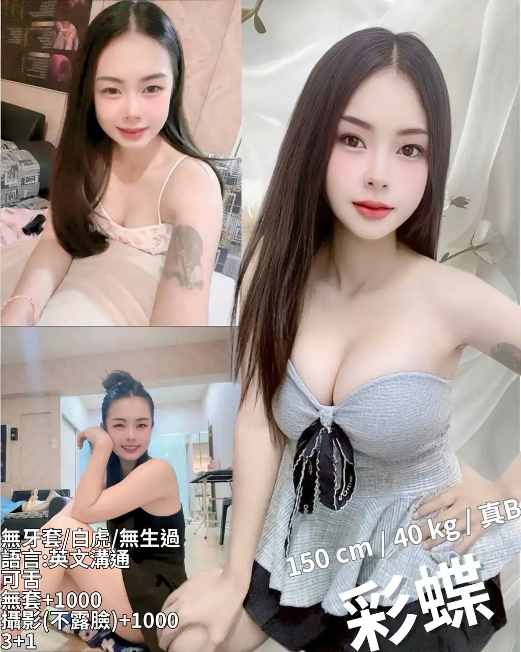 新竹定點茶-彩蝶 新竹定點茶-彩蝶