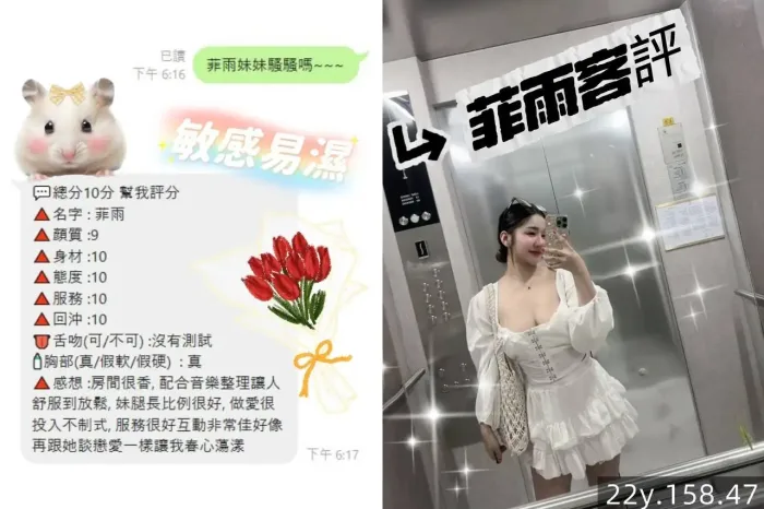 桃園定點茶-菲雨