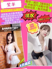 桃園定點茶-紫羊