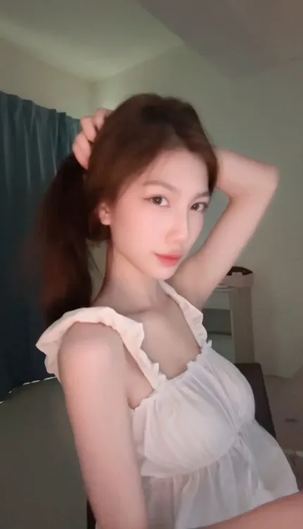 桃園定點茶-布布