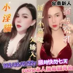 台南定點茶-小淫貓