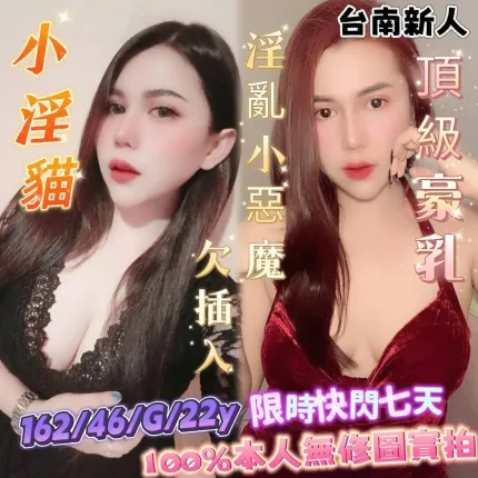 台南定點茶-小淫貓