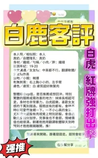 台中定點茶-白鹿