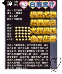 台中定點茶-白鹿