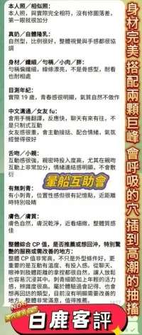 台中定點茶-白鹿