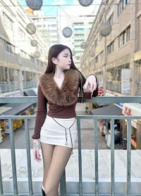 新竹定點茶-太陽