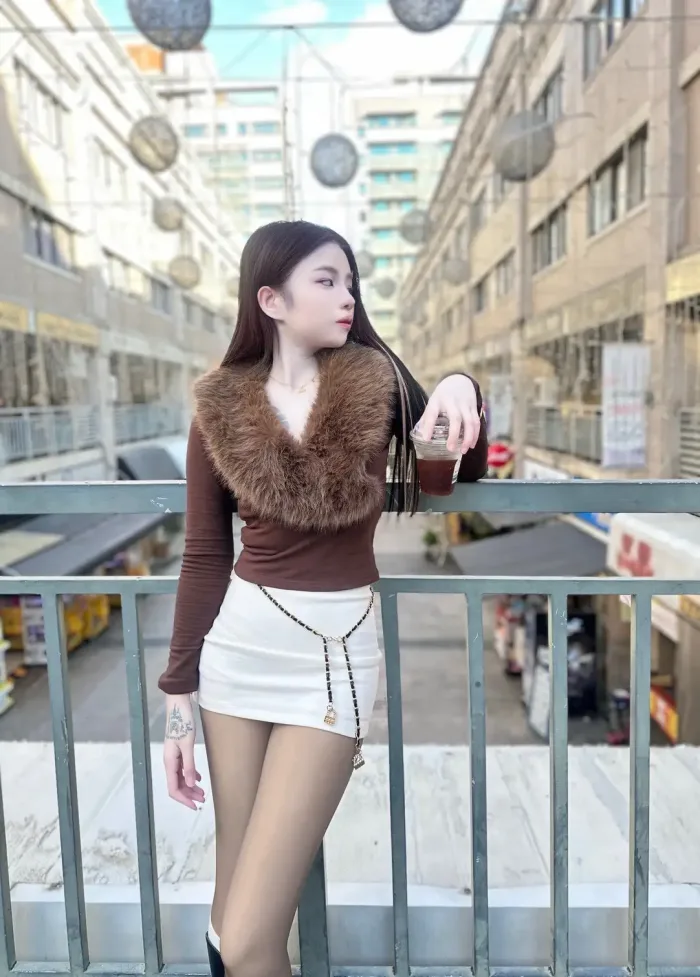 新竹定點茶-太陽