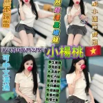 台北定點茶-小楊桃