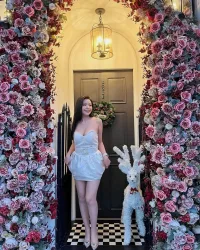 屏東定點茶,外送茶-多慧