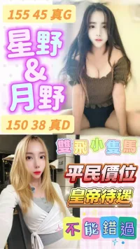 桃園定點茶-星野