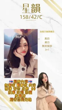 桃園定點茶-星韻