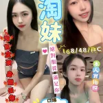 新竹定點茶-淘妹