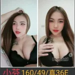 南投定點茶-小芬