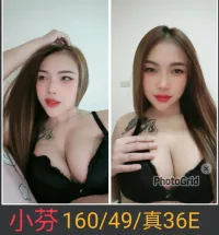 南投定點茶-小芬