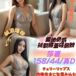 台中定點茶-莎夏