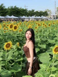 台北定點茶-甜辣醬