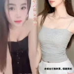 台南定點茶-燕子