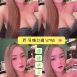 台南定點茶-西瓜妹