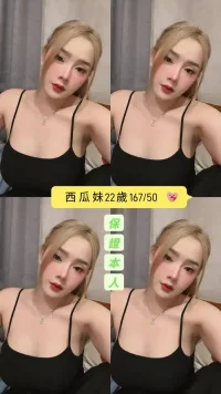 台南定點茶-西瓜妹