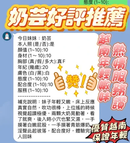 新竹定點茶-奶芸