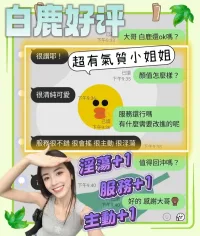 台南定點茶-白鹿