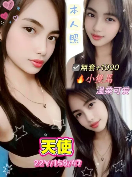 新北定點茶-天使