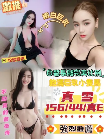 台中定點茶-真雪