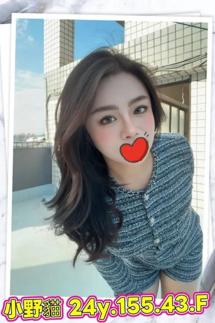 台北外送茶-小野貓