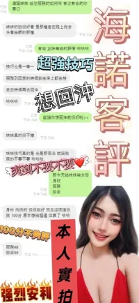 南投定點茶-海諾