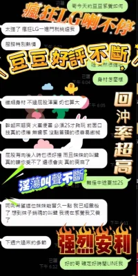 台中定點茶-豆豆