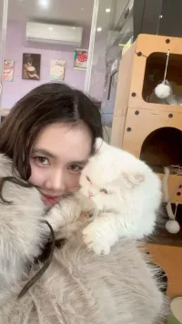 新北定點茶-可芯